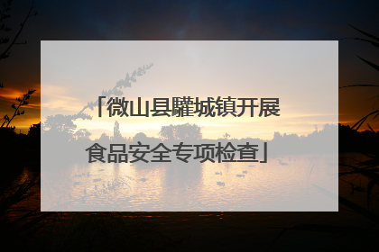 微山县驩城镇开展食品安全专项检查